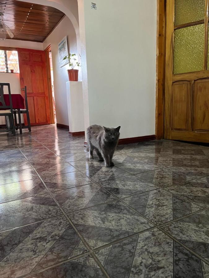 El Mochilero Cartago